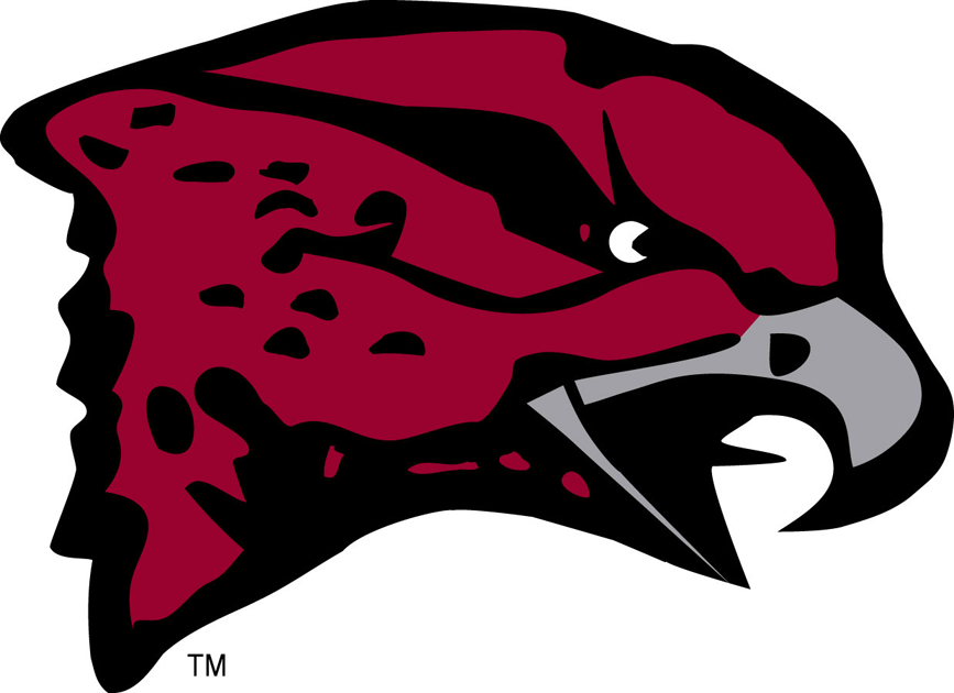 Maryland-Eastern Shore Hawks 2007-Pres Primary Logo iron on transfers for clothing
